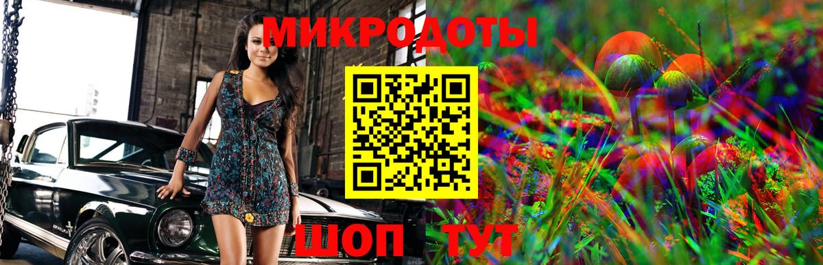 Псилоцибиновые грибы Psilocybine cubensis Грязи