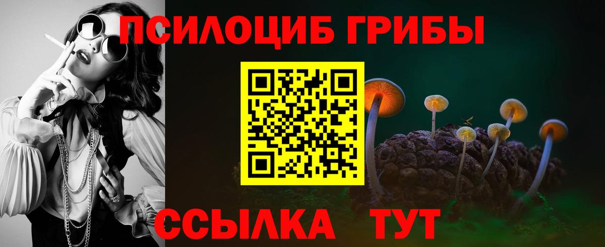 Псилоцибиновые грибы мицелий  Вход с VPN  Грязи 